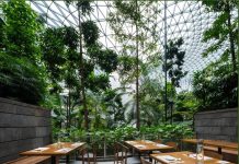 “Gwangjang GAON” Câu chuyện ẩm thực Hàn Quốc khởi nguồn từ Singapore và vươn ra thế giới