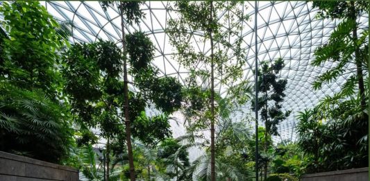 “Gwangjang GAON” Câu chuyện ẩm thực Hàn Quốc khởi nguồn từ Singapore và vươn ra thế giới