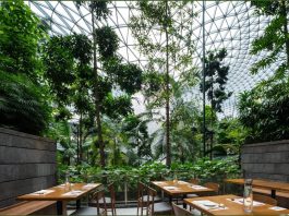 “Gwangjang GAON” Câu chuyện ẩm thực Hàn Quốc khởi nguồn từ Singapore và vươn ra thế giới